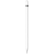 Acc. Apple Pencil baltas + USB-C adapteris